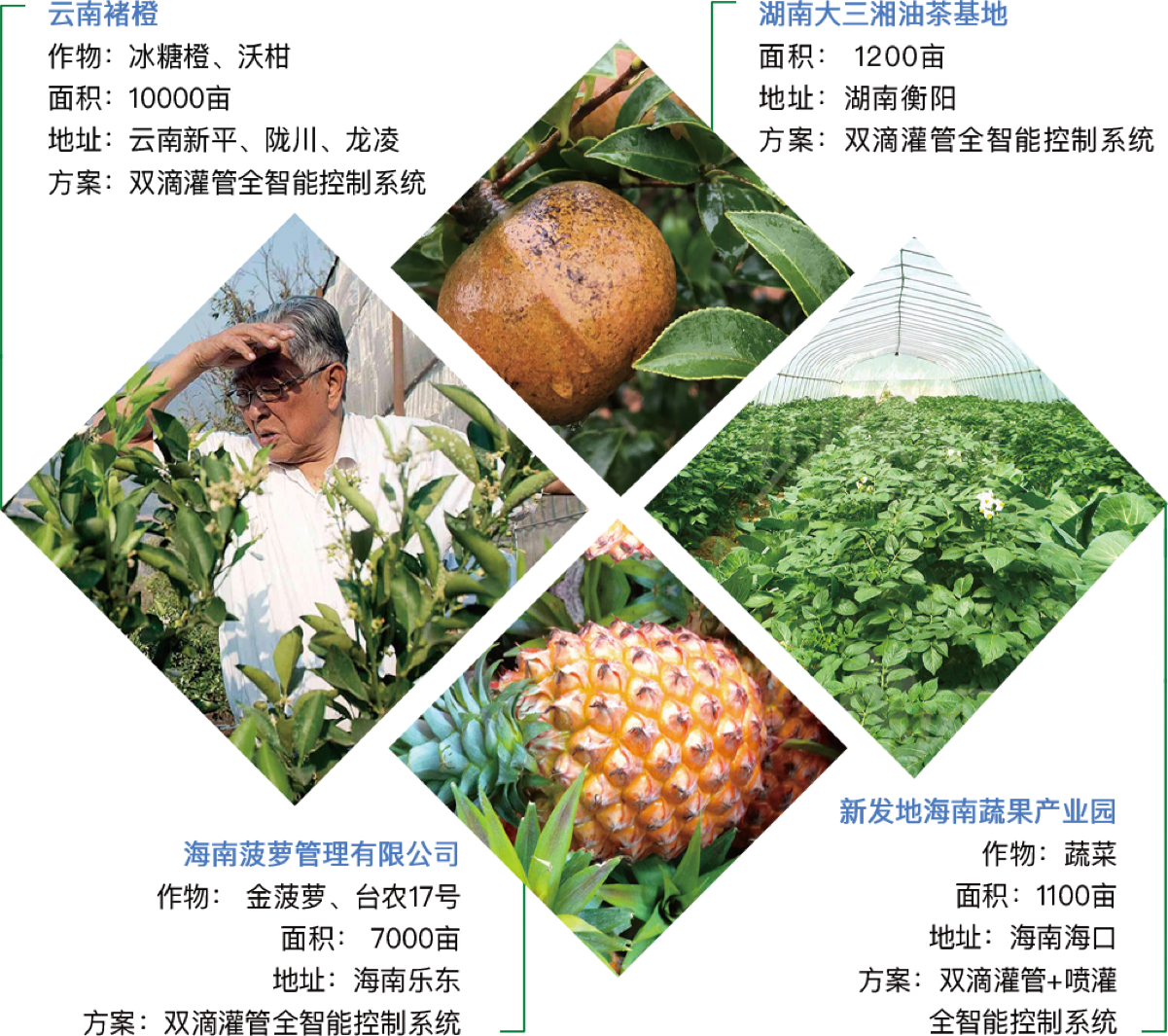 經(jīng)典案例